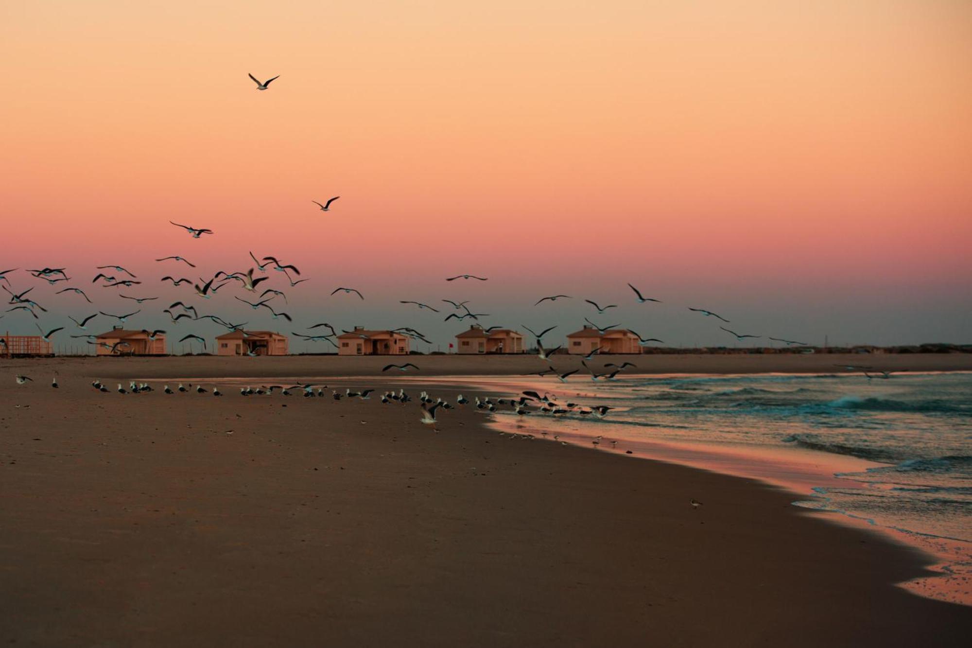 Ocean Vagabond Lassarga Hotel Dakhla Ngoại thất bức ảnh